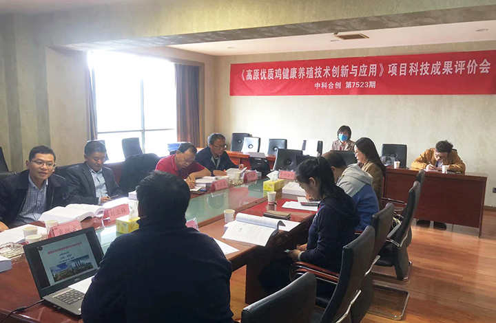 高原优质鸡健康养殖技术创新与应用 anli.jpg